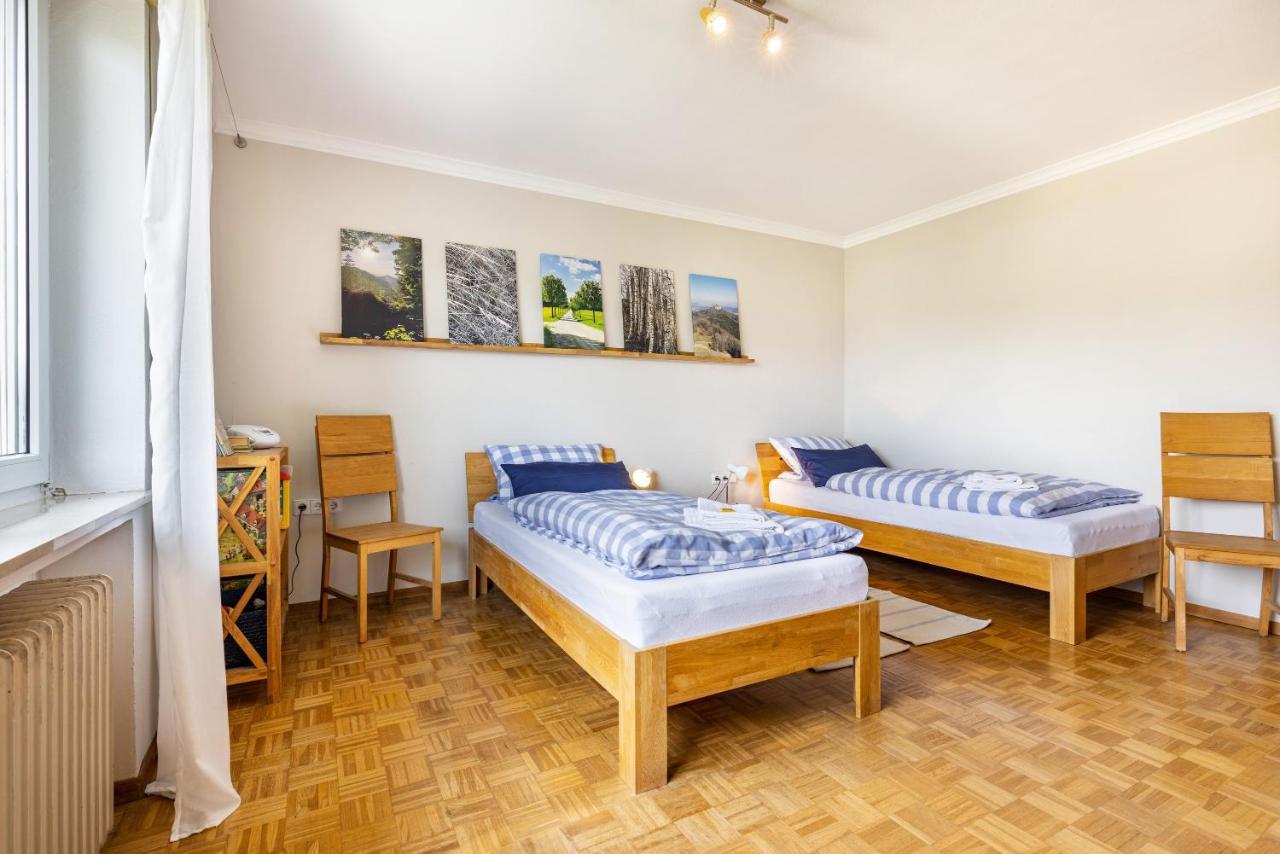 Ferienwohnung Lammerberg ألبشتات المظهر الخارجي الصورة